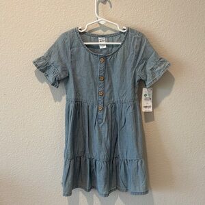 Carter’s Blue Denim Ruffle Sleeve Button Dress